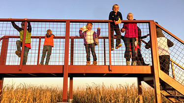 Children playing in corn maze